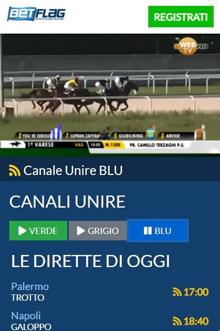 jogo do canguru onabet - Onabet Cassino Online